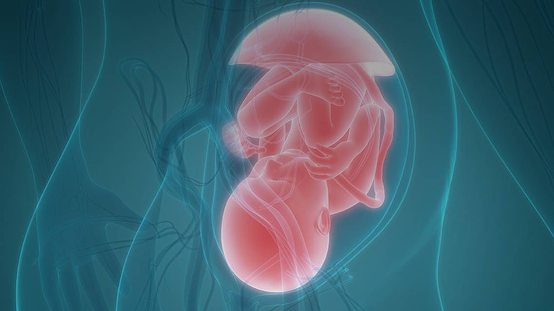 ReachMD Healthcare Image