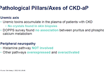 Downloadable Slides