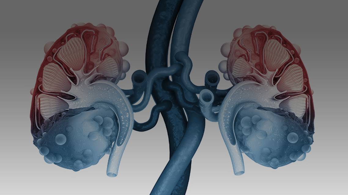 ReachMD Healthcare Image