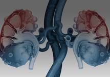 Advances in Chronic Kidney Disease Resource Page